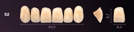 S2-B3 PREMIUM TEETH UPPER ANTERIOR | Oraltec